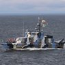 ВМФ России получил первый противодиверсионный катер "Грачонок"