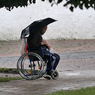 Мир отмечает день борьбы за права инвалидов