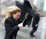 МЧС предупреждает москвичей о сильном ветре