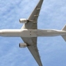 Поиски в зоне крушения «Боинга-777» на Украине завершены