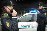 В Дании в морозильнике найдены трупы беженки и ее детей