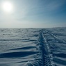 Антарктида потеряла "Питер": набирает просмотры видео с гигантской трещиной в вечных снегах