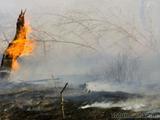 В Приангарье из-за лесных пожаров введен режим ЧС