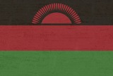Вице-президент Малави Саулос Чилима погиб при крушении самолета