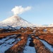 Уже восемь человек погибли из группы восхождения на Ключевскую сопку, спасти оставшихся четверых шансы еще есть