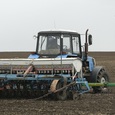 Татарстан в 2019 г планирует направить на посевную 25 миллиардов рублей