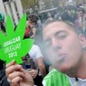 Грамм марихуаны в уругвайских аптеках будет стоить меньше доллара