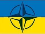 В НАТО заинтересовались информацией о вторжении России на Украину