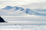 Депутаты раскрыли стоимость своей вылазки в Антарктиду