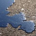 Путин назвал приемлемую для России цену на нефть