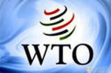 Медведев высказал опасения по поводу возможного распада ВТО