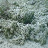 Снегопад под Ростовом: на трассе М-4 застряла сотня фур