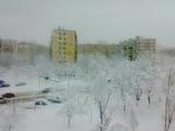 Москвичей ждёт тёплое окончание зимы