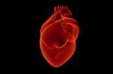 Кардиологи: проживание рядом с шоссе или аэропортом увеличивает риск инфаркта