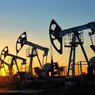 Названа оптимальная стоимость нефти для реформирования российской экономики