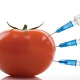 Госдума России запретила выращивать ГМО