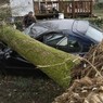 В Башкирии разразился ураган, пострадало 76 человек
