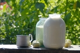 На белорусскую продукцию из молока могут наложить запрет - Россельхознадзор
