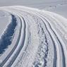 В Ленинградской области лыжник скончался, провалившись под лёд