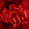 Ученые выявили неуязвимую для онкозаболеваний группу крови