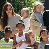 Анджелина Джоли замечена в "Диснейленде" с предполагаемым новым бойфрендом и детьми