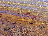 Предрождественский шторм засыпал калининградский пляж янтарем