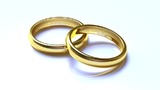 Депутаты раскритиковали законопроект о приравнивании сожительства к браку