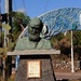 Главное чудо Дарвина