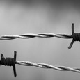 Финляндия до 13 декабря закроет все переходы на границе с Россией