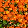 Турецкие мандарины и апельсины возвращаются в Россию