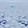 Глобальное потепление привело к вскрытию самого толстого льда в Арктике