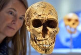 Древний предок потерял в Африке свою челюсть (ФОТО)
