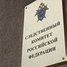 Следователи проводят проверку по факту смерти 1,5-месячной девочки в Пушкино