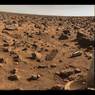 Загадочный пень обнаружен на Марсе