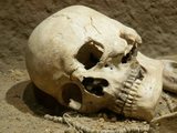 В Испании найдена стоянка древних каннибалов