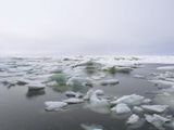 Четыре судна остановились во льдах у берегов Чукотки