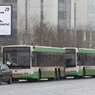 Более 700 автобусов будут доставлены из Подмосковья в Сочи