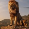 Ремейк «Короля Льва» стал самым кассовым анимационным фильмом в истории