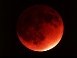 Сегодня над Землей взойдет кровавая Луна