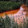 Агентство охраны окружающей среды США слило в реку токсины