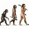 Антропологи обнаружили «мгновенные» изменения в эволюции человека