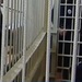 Боец Аллахверанов получил 18 лет за жестокое убийство пауэрлифтера Драчёва