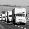 МЧС: Очередной конвой повез в Донбасс 1,1 тыс. тонн гуманитарной помощи