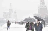Треть нормы за месяц по осадкам выпала в Москве за сутки