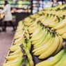 Эквадор направит делегацию в РФ для обсуждения проблемы с поставками бананов
