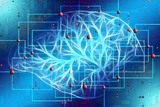 В мозге умных людей оказалось меньше нейронных связей