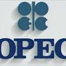 ОПЕК определила объемы сокращения нефтедобычи