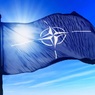 В НАТО выразили готовность продолжить диалог по ДРСМД