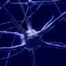 Ученые: потенциал мозга человека сопоставим с работой миллиардов мини-компьютеров