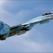 Американские военные заявили о небезопасном перехвате самолёта российским Су-35